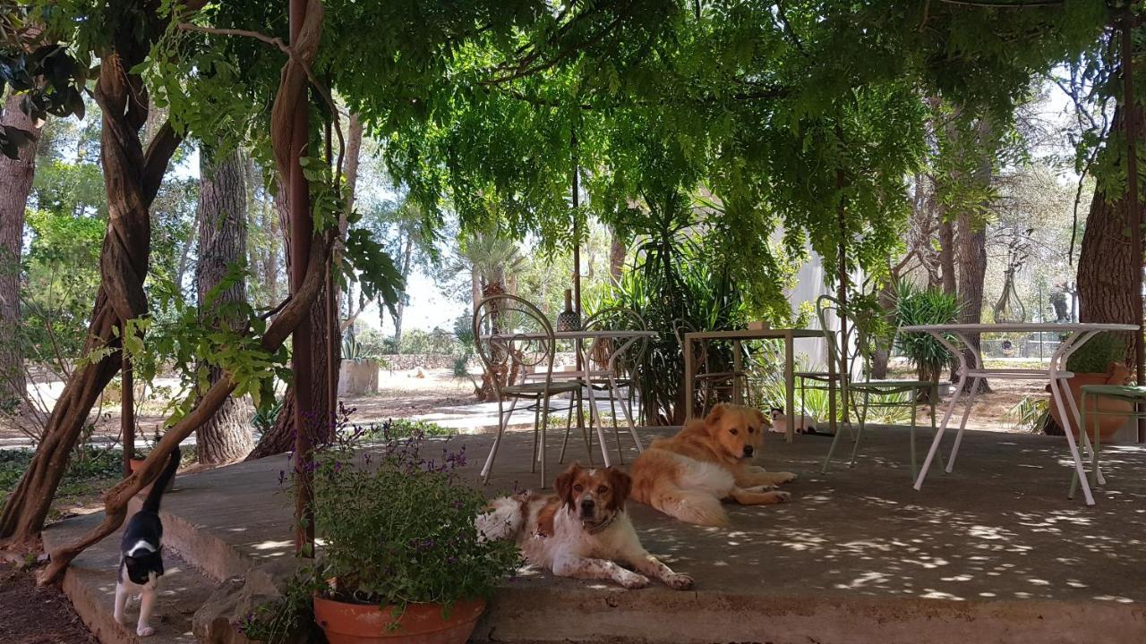 Petra - Country House มอนเตโรนิดิเลชเช ภายนอก รูปภาพ